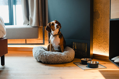 John & Will Silo-Hotel by Guldsmeden: Zimmer